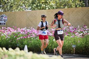 BIB: 
                            <button type="button" onclick="openModal(27794700)" class="btn btn-primary btn-sm float-right btn-popup" data-toggle="modal" data-target=".modal-high-quality">
                        <i class="fas fa-shopping-cart"></i> Add to Cart
                    </button>
                                            <button type="button" onclick="isThisMe(27794700, true)" class="btn btn-success btn-sm float-right btn-popup btn-isme hidden" data-toggle="tooltip" data-placement="bottom" title="นี่คือรูปของคุณใช่ไหม คลิกที่นี่เพื่อเอาเข้าอัลบั้ม">
                        <i class="fas fa-plus"></i> Add to album
                    </button>
                    <button type="button" onclick="isThisMe(27794700, false)" class="btn btn-warning btn-sm float-right btn-popup btn-isnotme hidden">
                        <i class="fas fa-ban"></i> Remove from album
                    </button>